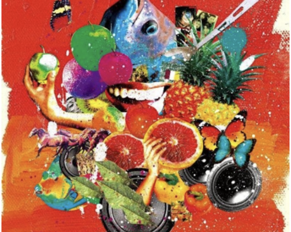 BOOMANIA～THE BOOM SPECIAL BEST COVER～ / V.A.